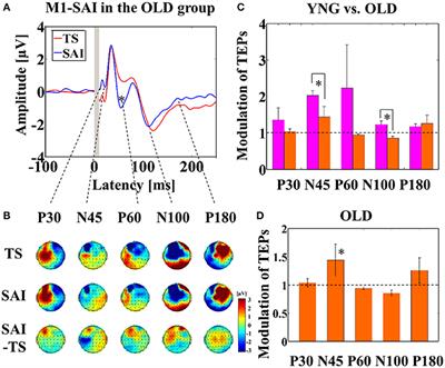 Reduced Prefrontal Short—Latency Afferent Inhibition in Older Adults and Its Relation to Executive Function: A TMS-EEG Study